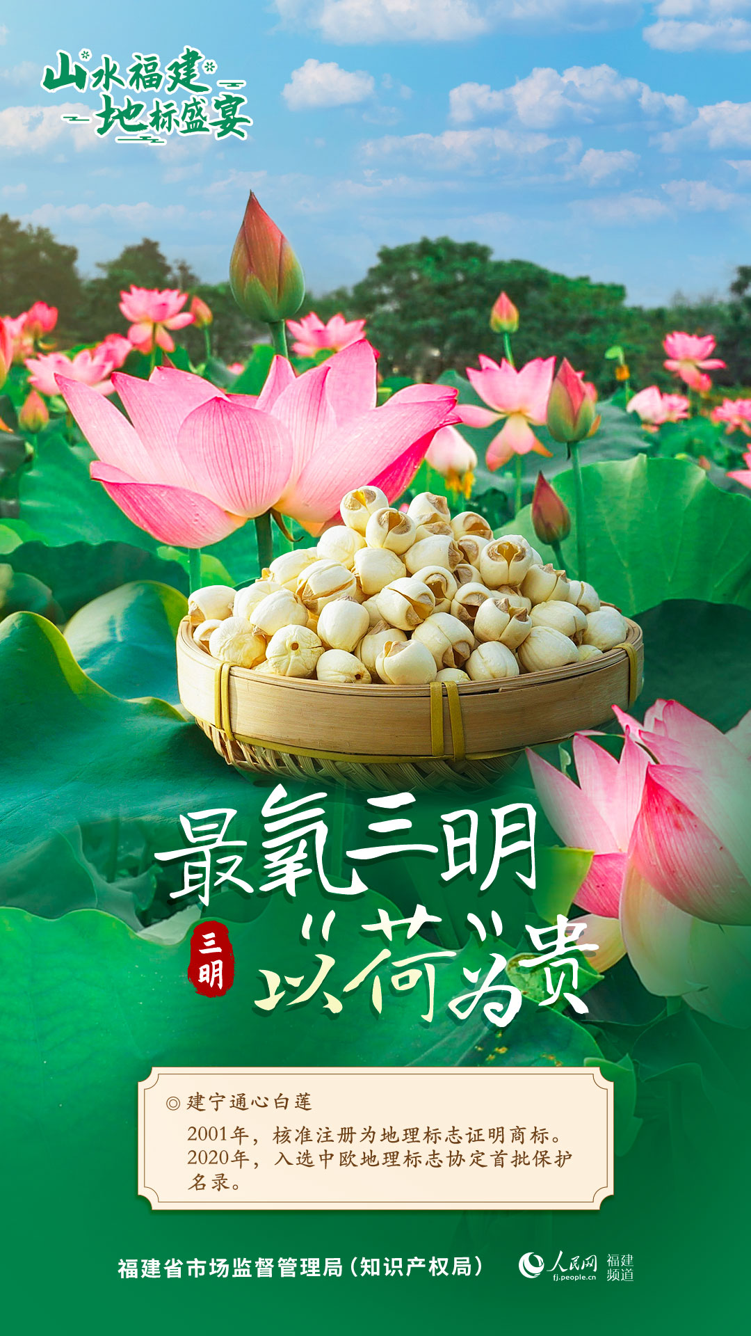 彩票网站