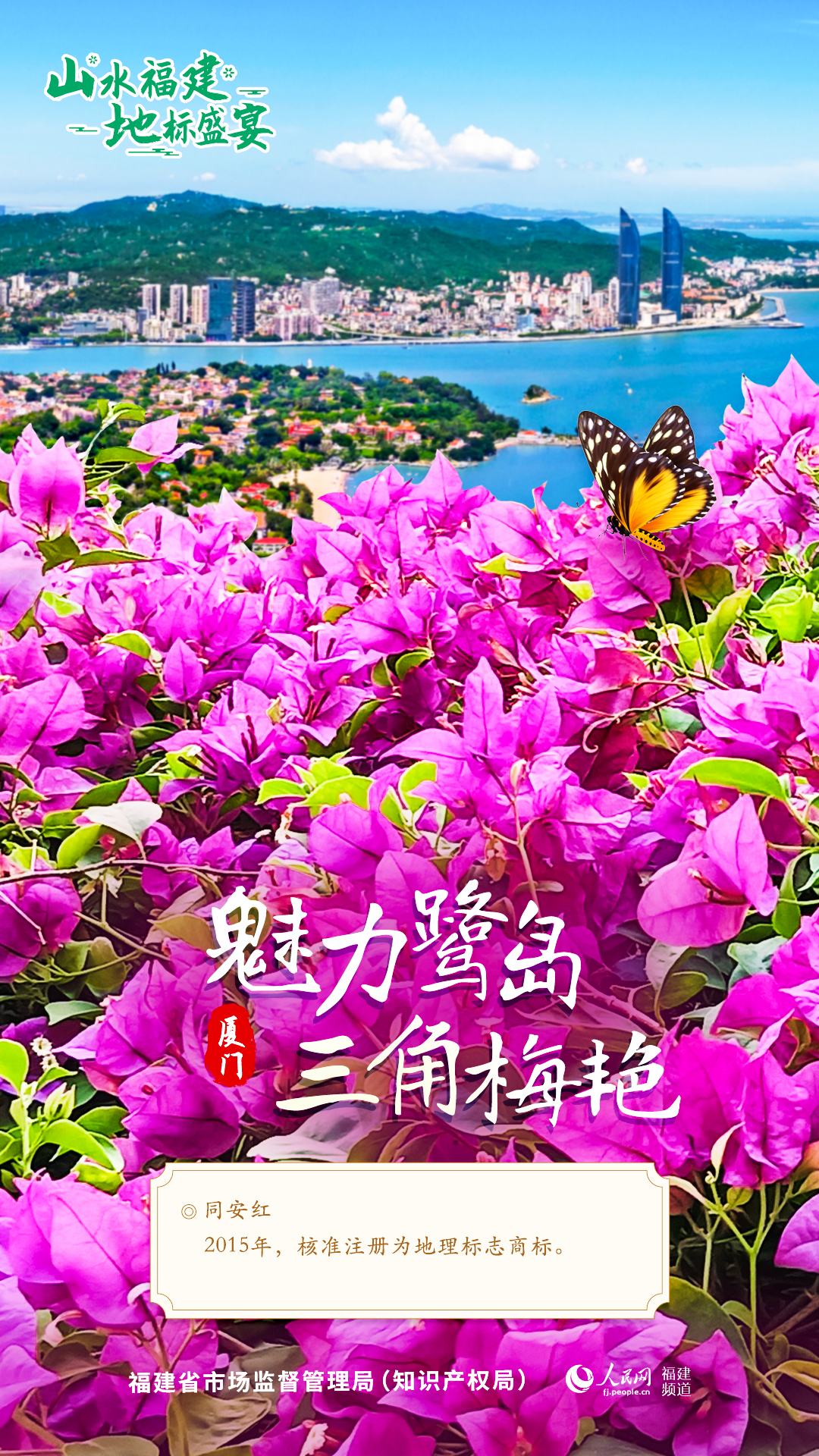 彩票网站