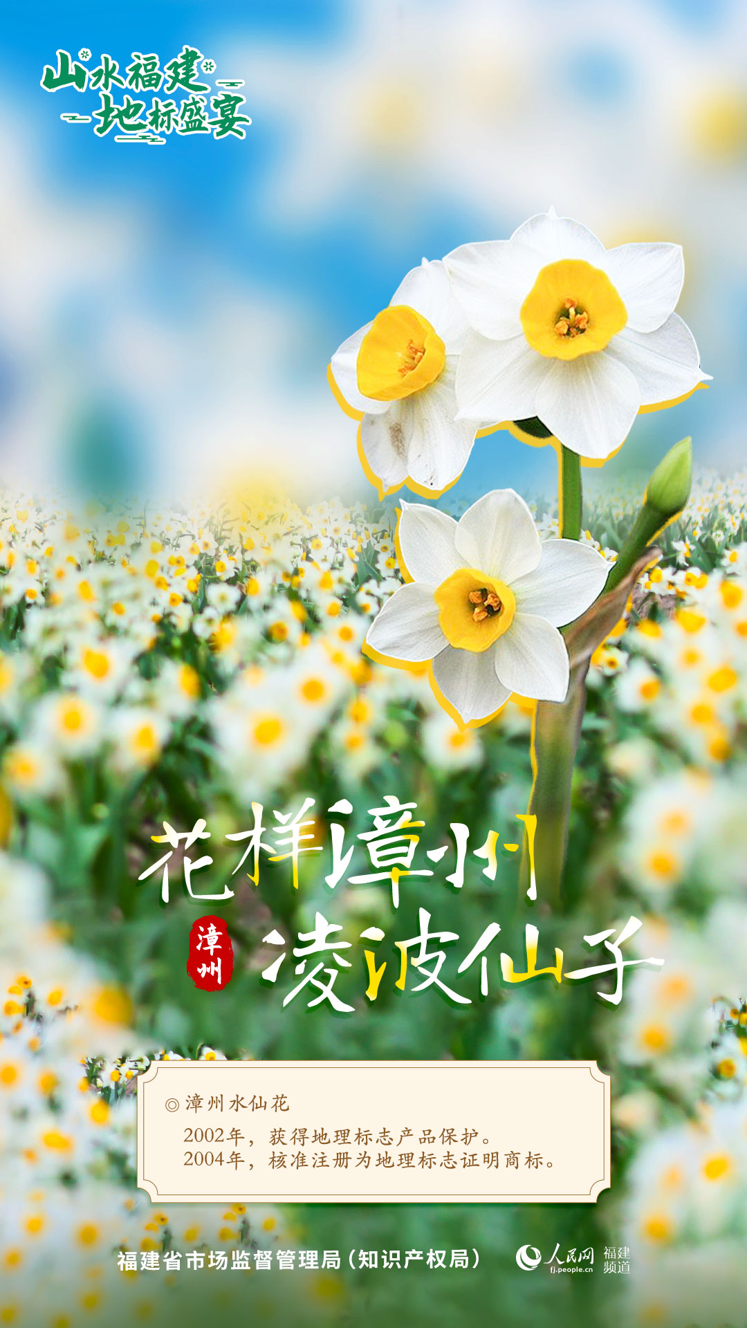 彩票网站