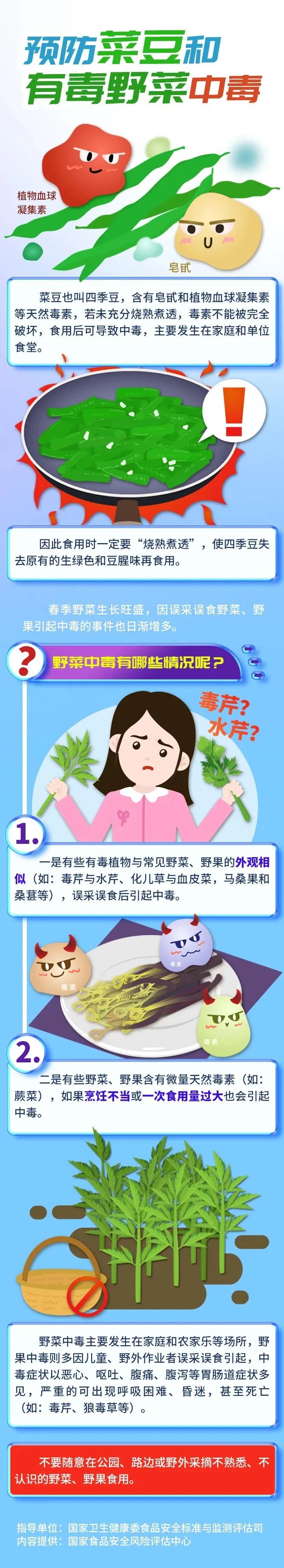 彩票网站