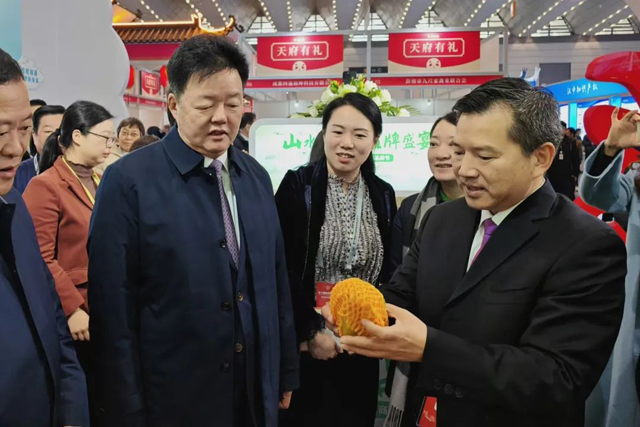 彩票网站