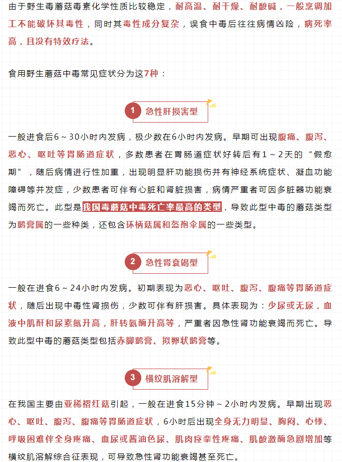 彩票网站