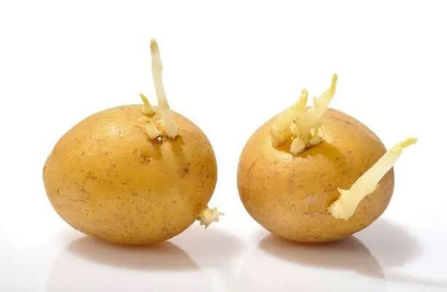 彩票网站