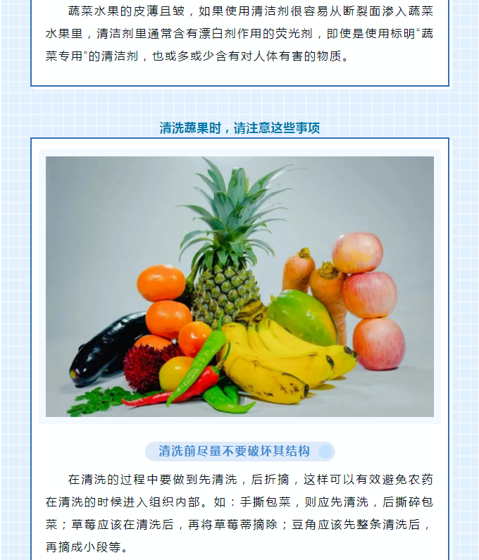 彩票网站