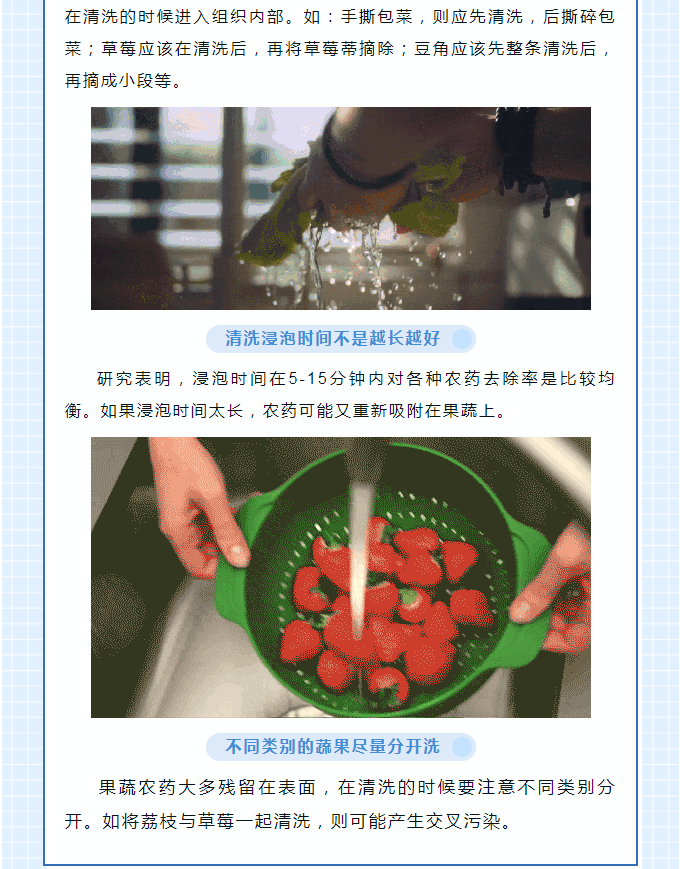 彩票网站