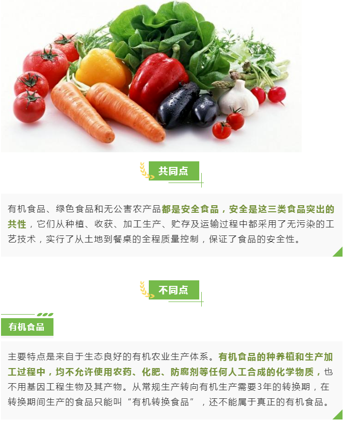 彩票网站