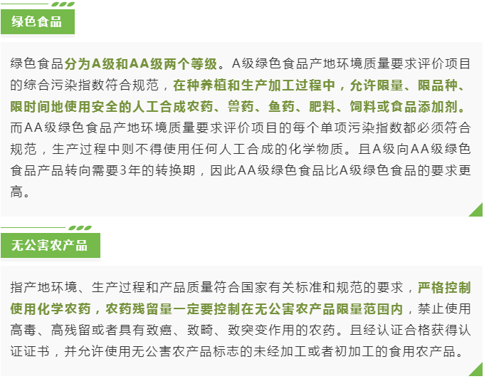 彩票网站