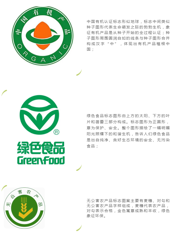 彩票网站