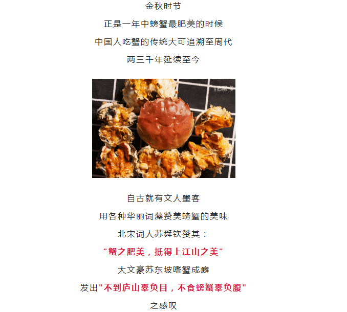 彩票网站