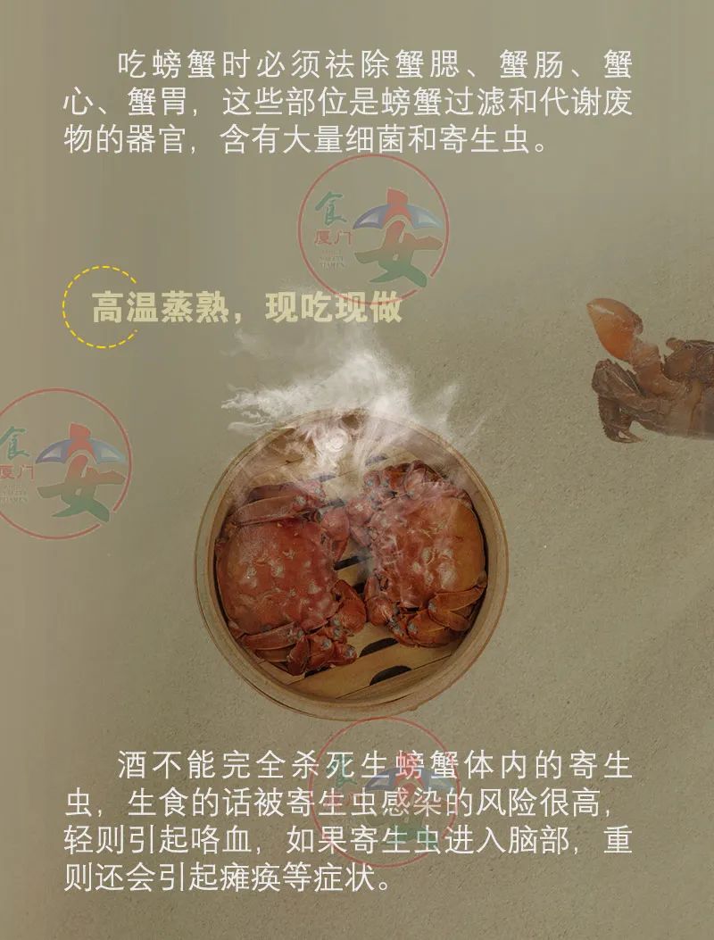 彩票网站