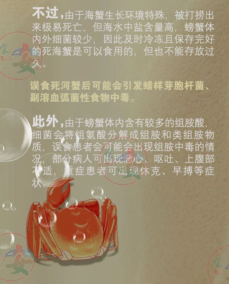 彩票网站