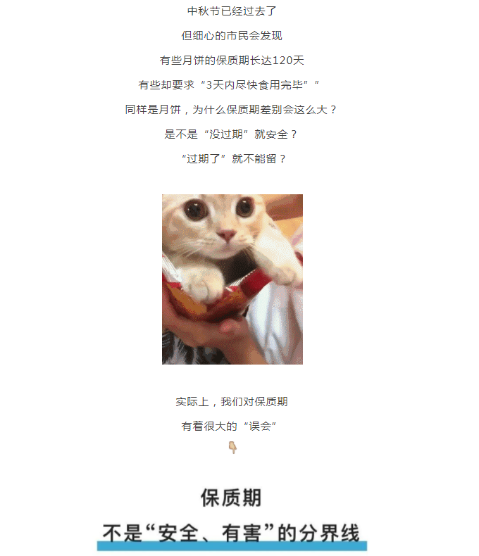 彩票网站