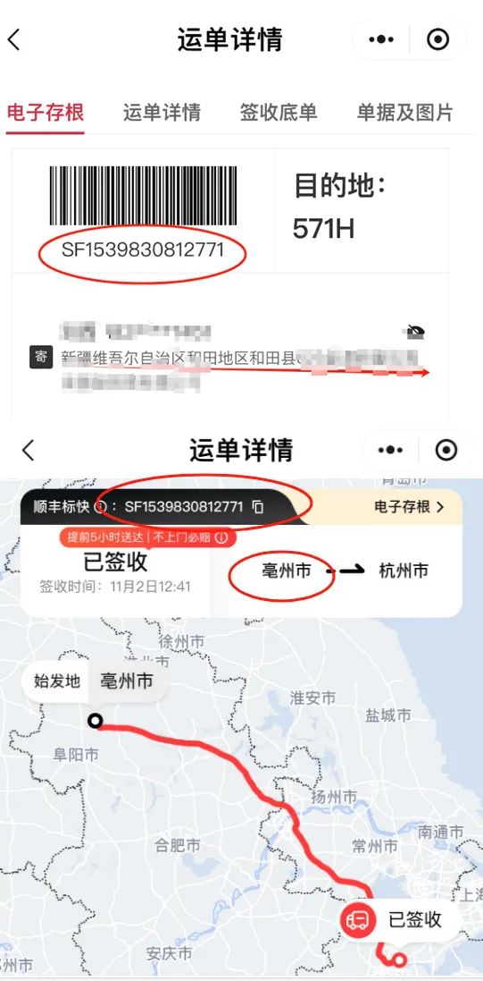 彩票网站